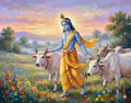 Golden Hour in Vrindavan: Krishna Herding the Sacred Cows – Original Acrylic Painting